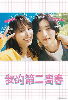 惠州快速seo优化报价